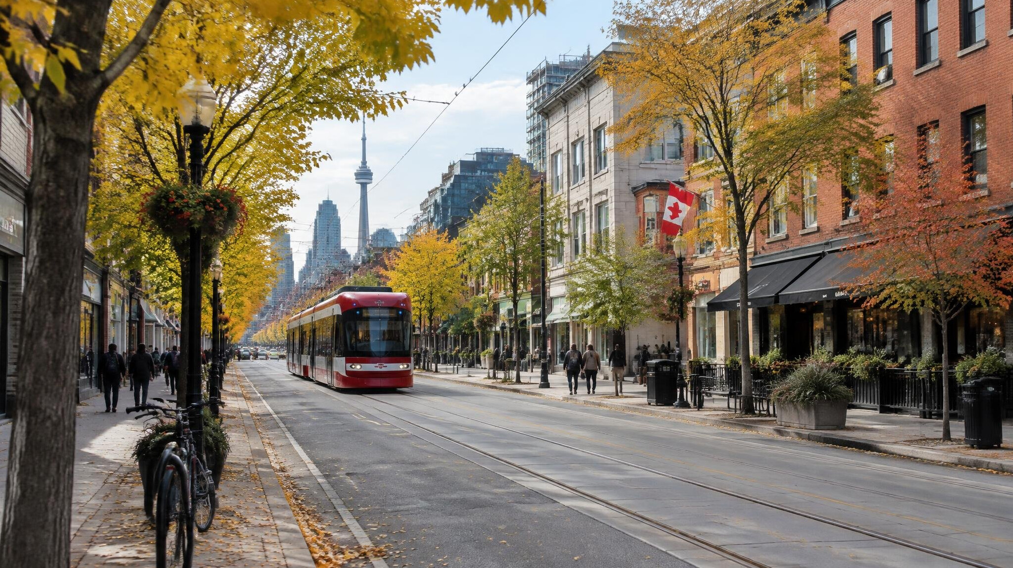 Wide view of a Canadian city street lined with trees